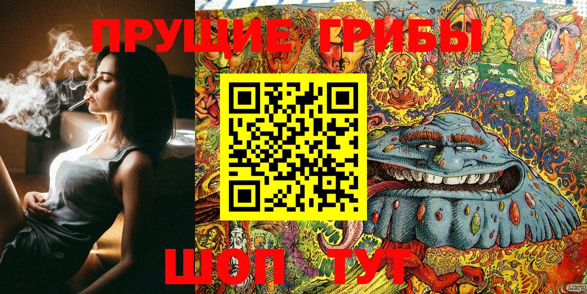 Галлюциногенные грибы Psilocybine cubensis Минеральные Воды